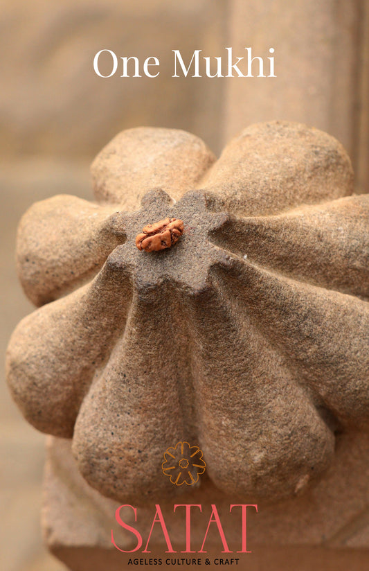 one face indonesian rudraksha with lab certificate