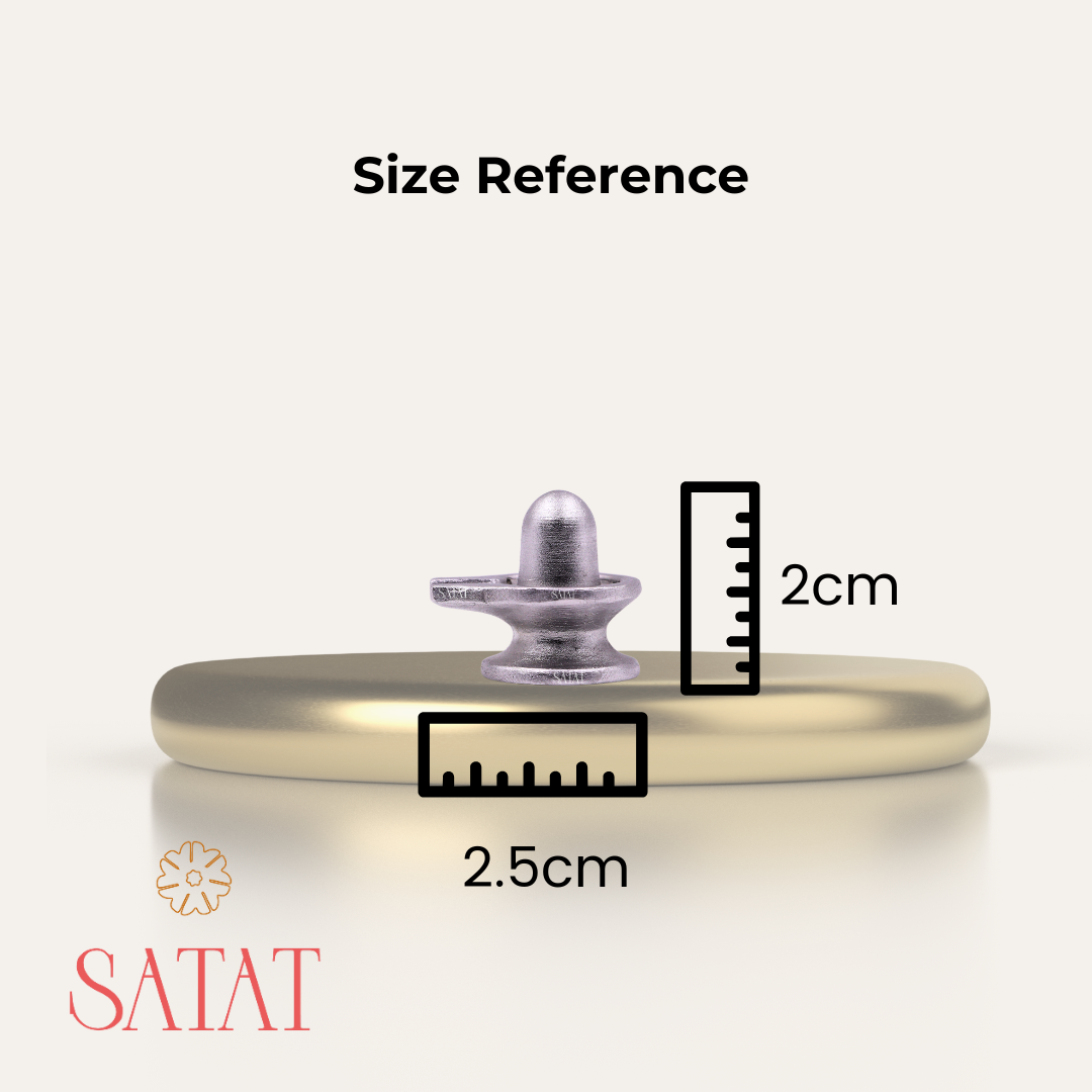 100% Pure Parad Shivling (25g) | Sacred Mercury Shivling for Abhishekam & Daily Puja