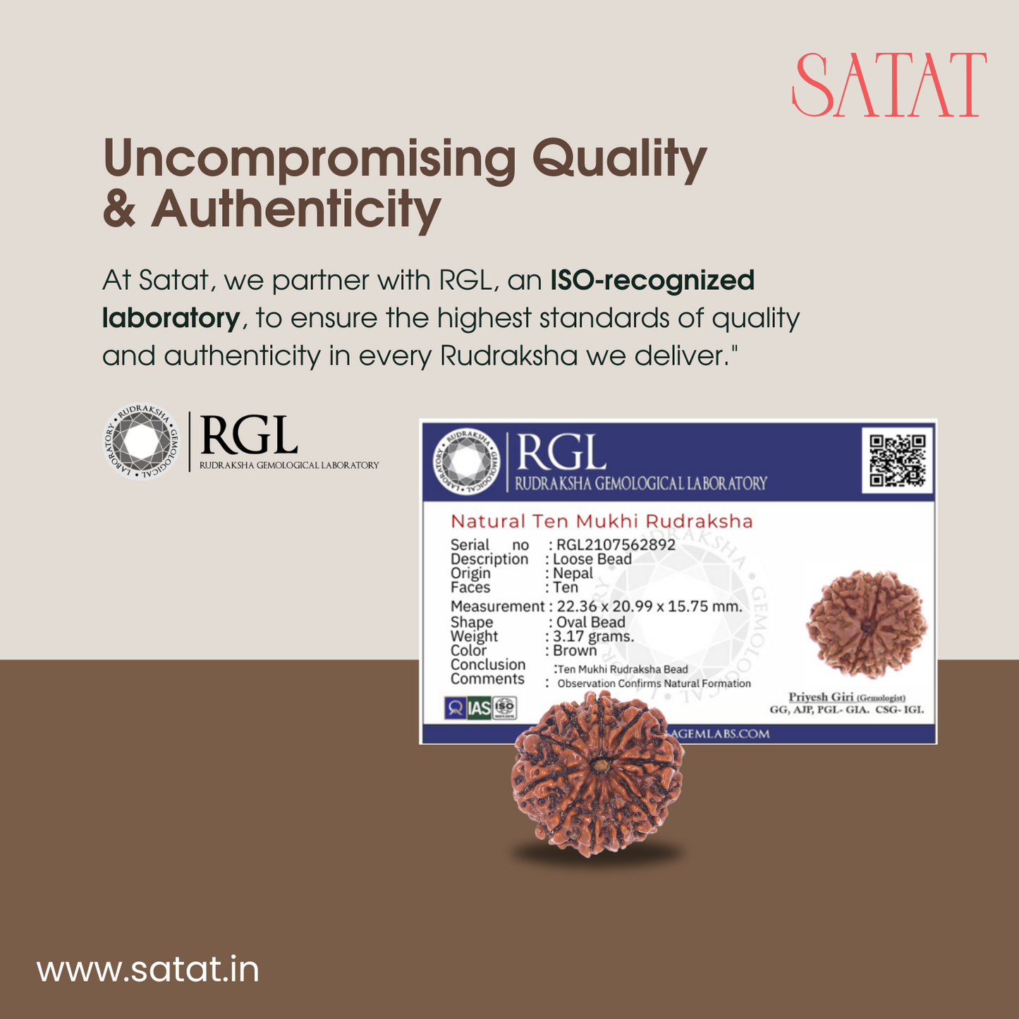 10 Mukhi Rudraksha Bead | Original Nepalese Bead | Certified from an ISO-recognised lab- RGL | For Vastu Dosha Nivaran