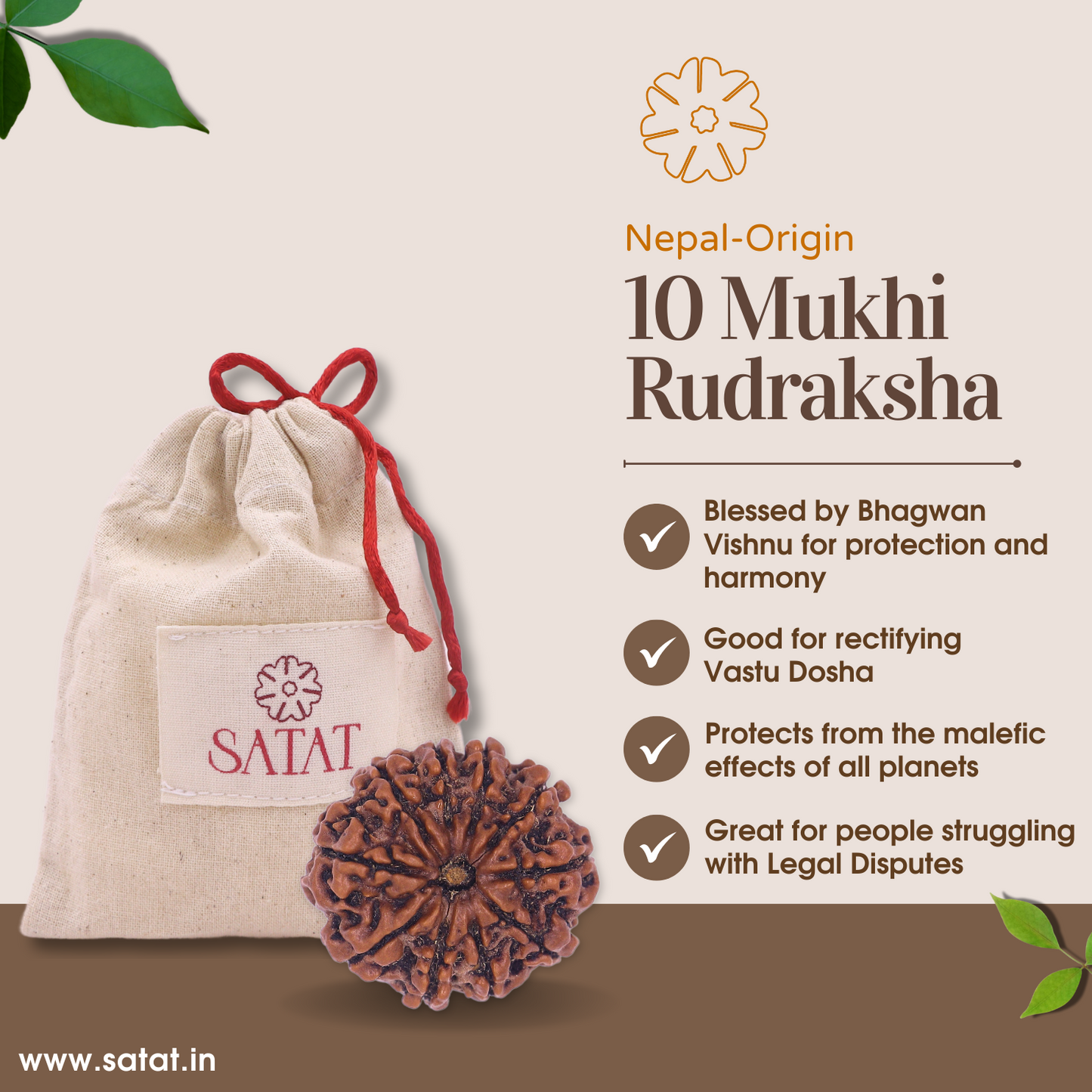 10 Mukhi Rudraksha Bead | Original Nepalese Bead | Certified from an ISO-recognised lab- RGL | For Vastu Dosha Nivaran