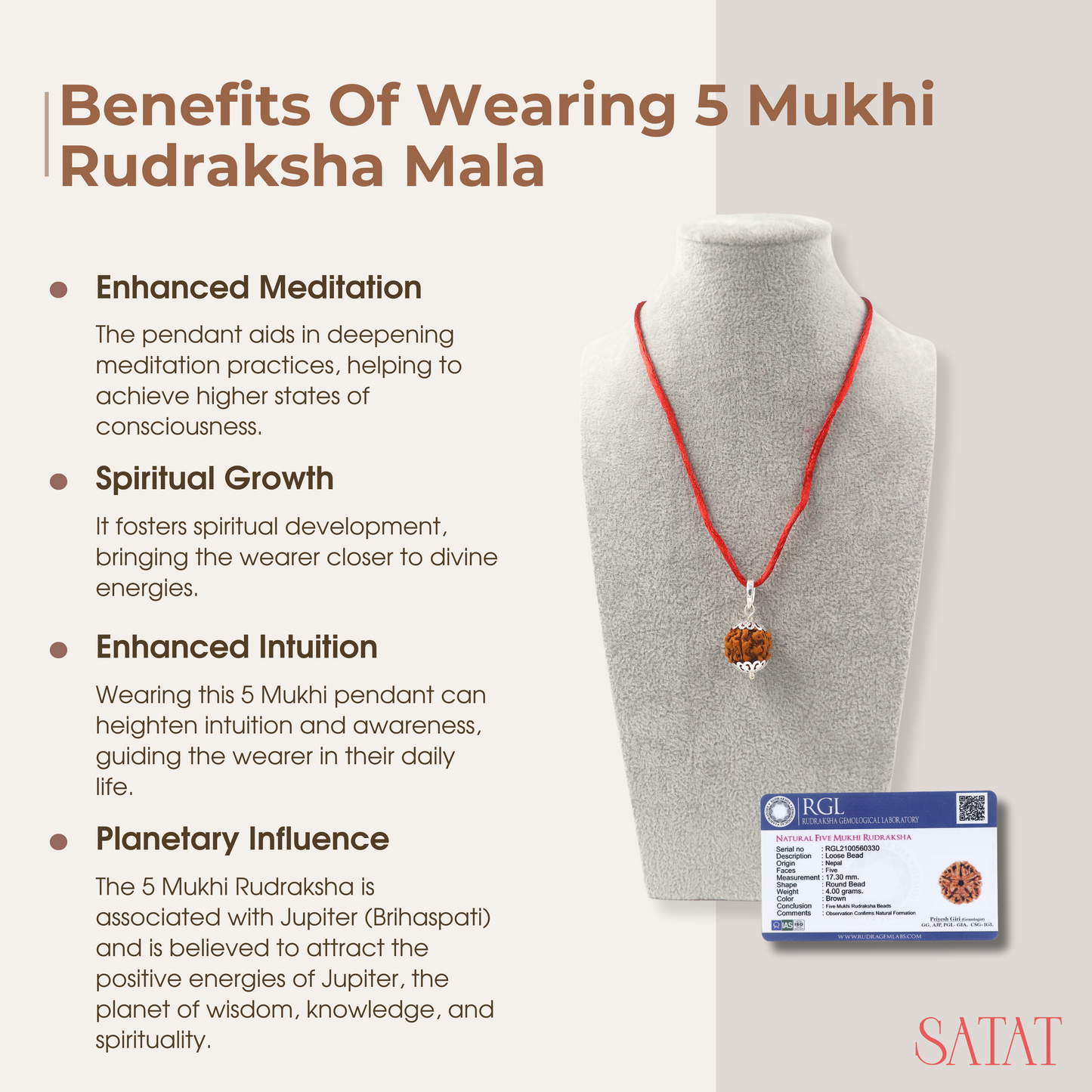 5 Mukhi Rudraksha Pendant | Nepal Origin | Pure Silver Cap | Certified by ISO- Recognised Laboratory