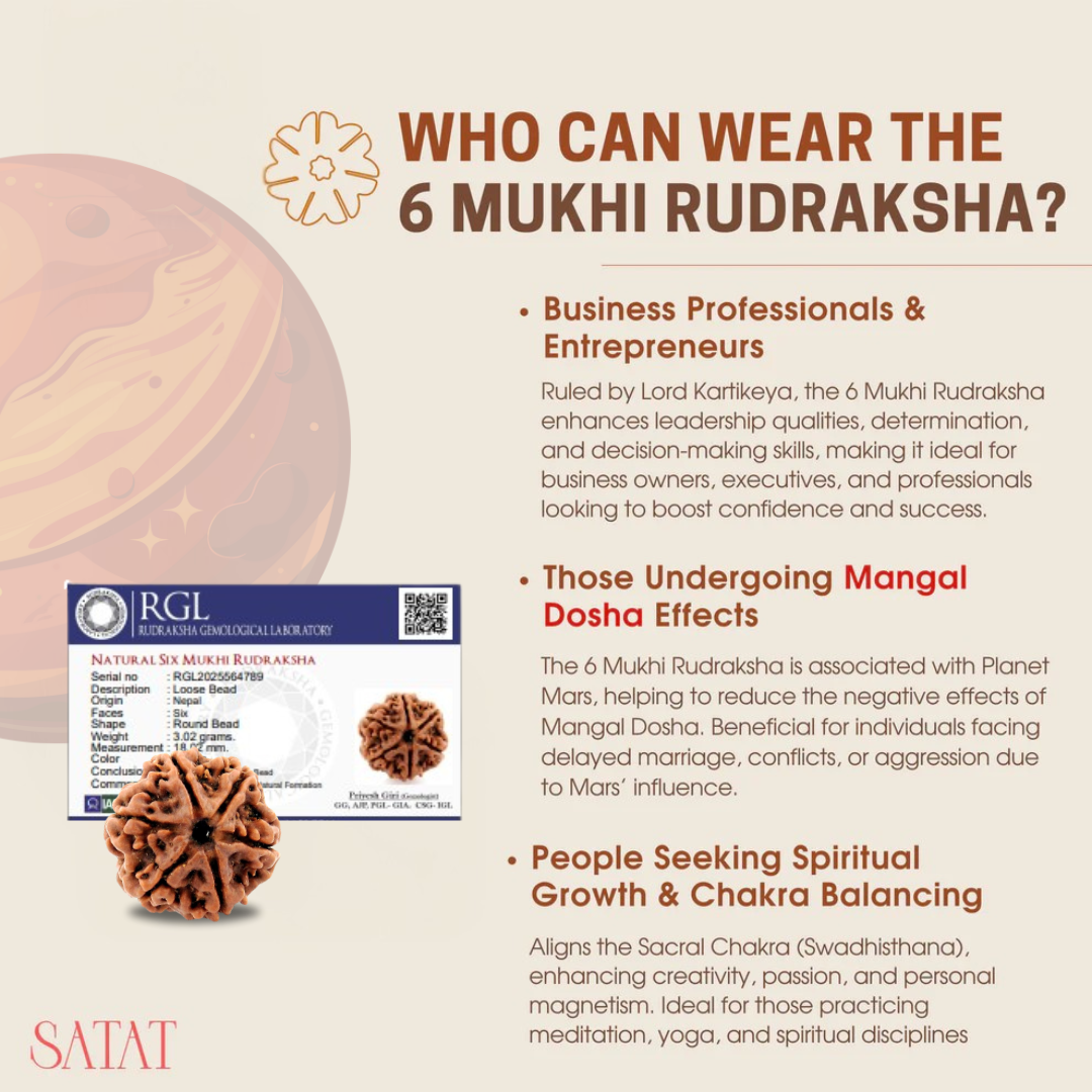 Authentic 6 Mukhi Nepal Rudraksha | Lab & X-Ray Certified | Nepal Origin