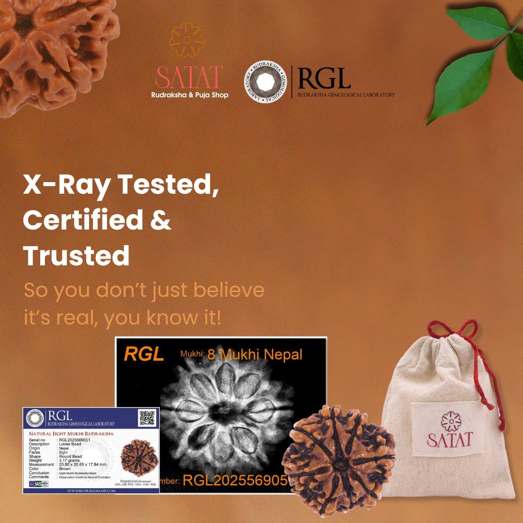 8 Mukhi Rudraksha| Nepal Origin | 18-23mm | Certified by ISO-recognized Lab - RGL