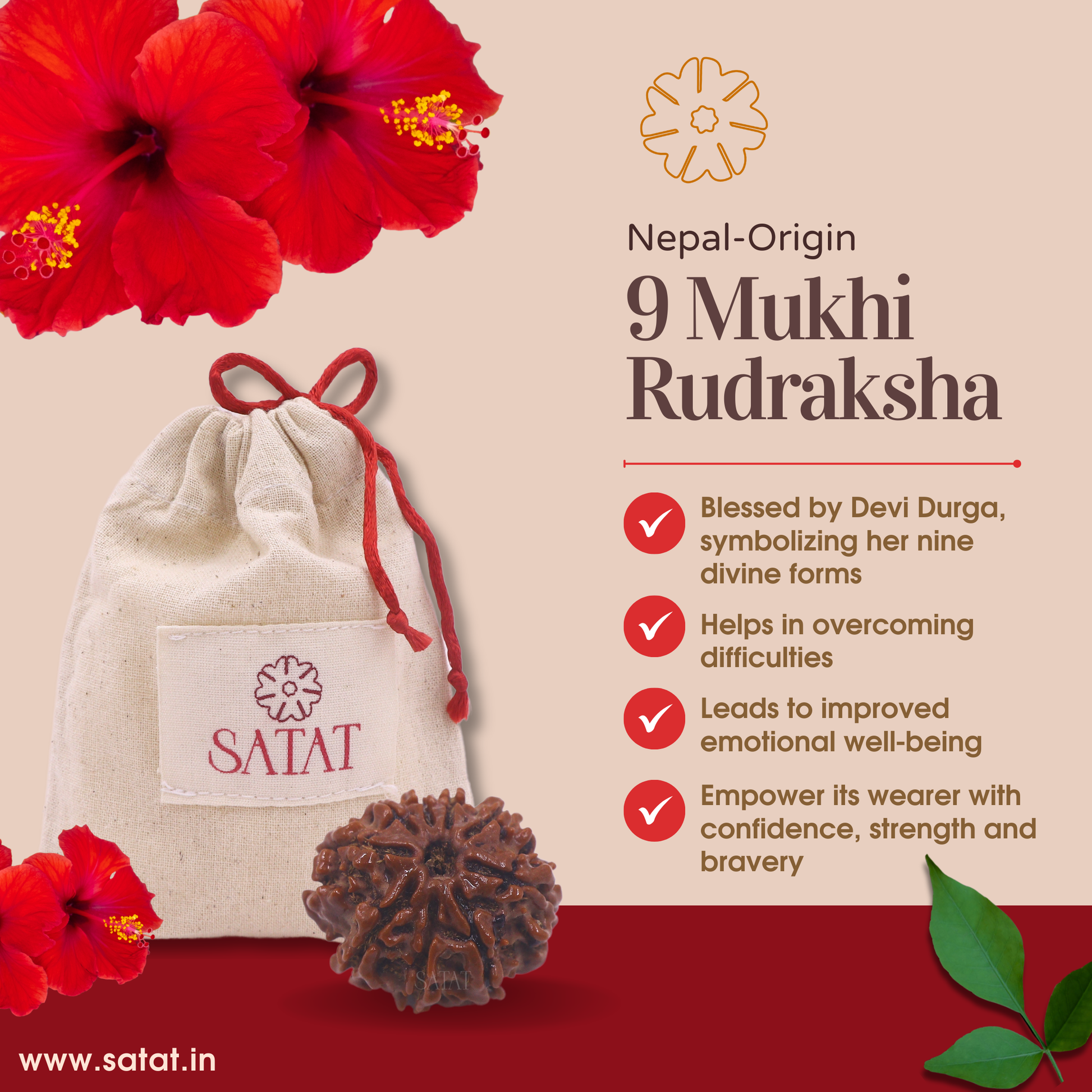 9 Mukhi Nepal Rudraksha Original Certified Bead by Satat