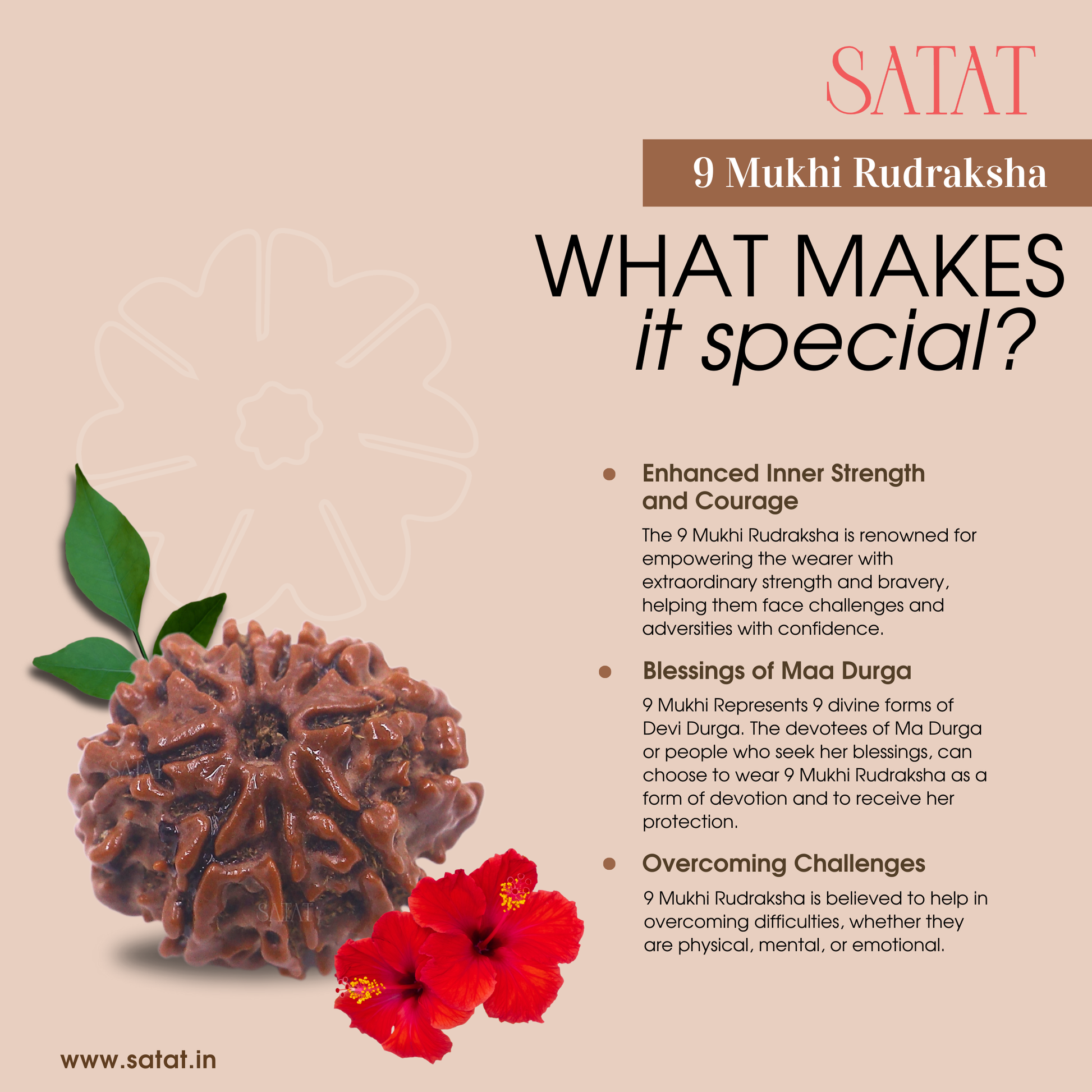 9 Mukhi Nepal Rudraksha Original Certified Bead by Satat Blessed by maa durga, mitigates effects of Malefic Rahu, For Courage & Bravery