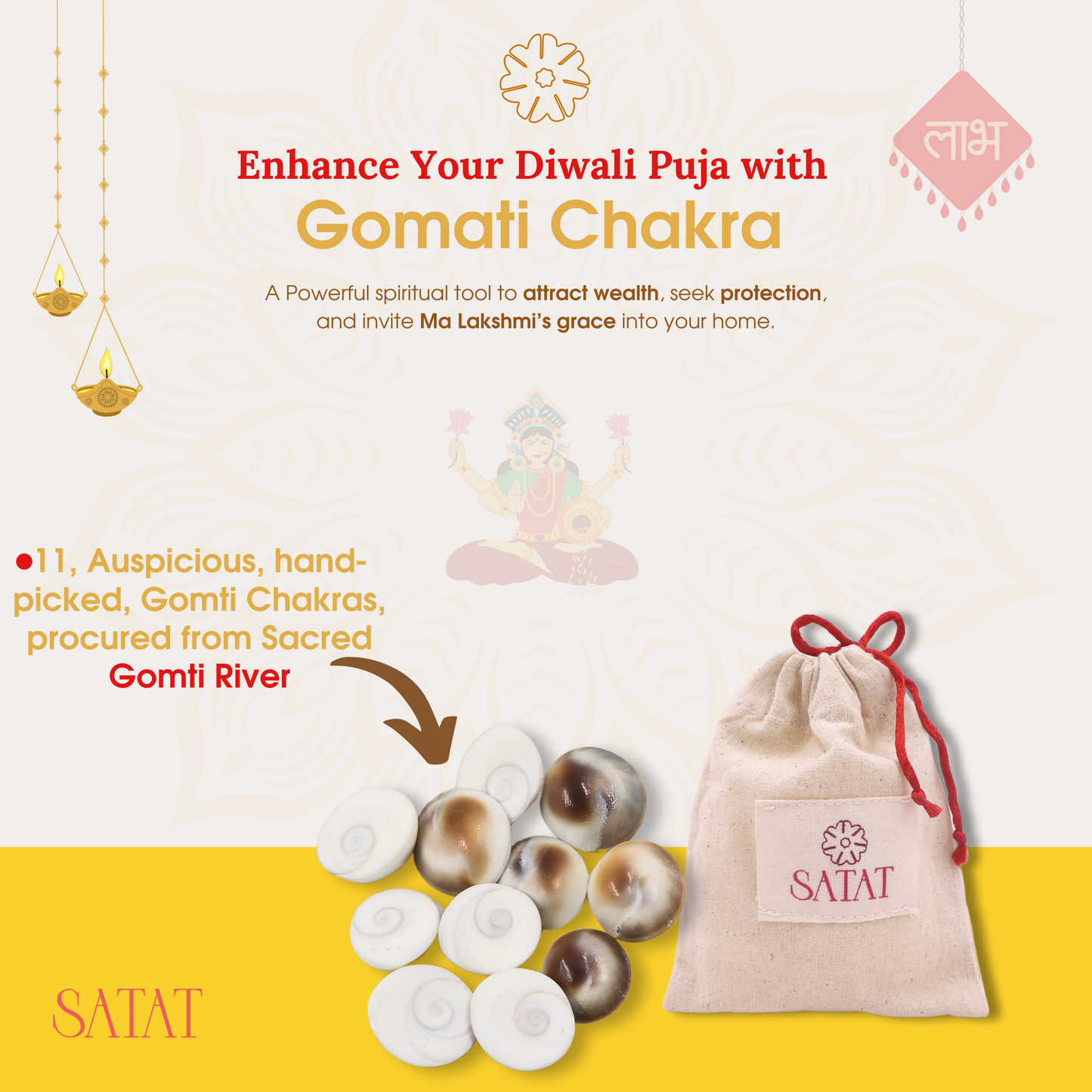 Gomati Chakra| Pack of 11 | Hand-Picked Pieces| For Lakshmi Pooja at Diwali