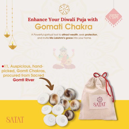 Gomati Chakra| Pack of 11 | Hand-Picked Pieces| For Lakshmi Pooja at Diwali