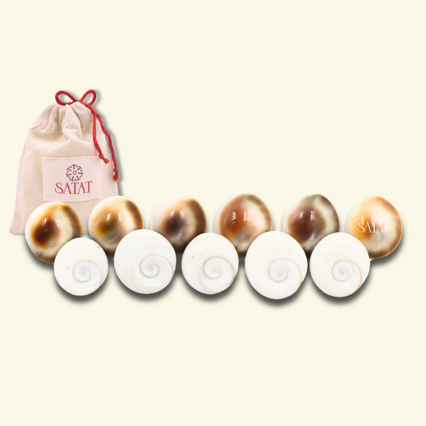 Gomati Chakra| Pack of 11 | Hand-Picked Pieces| For Lakshmi Pooja at Diwali