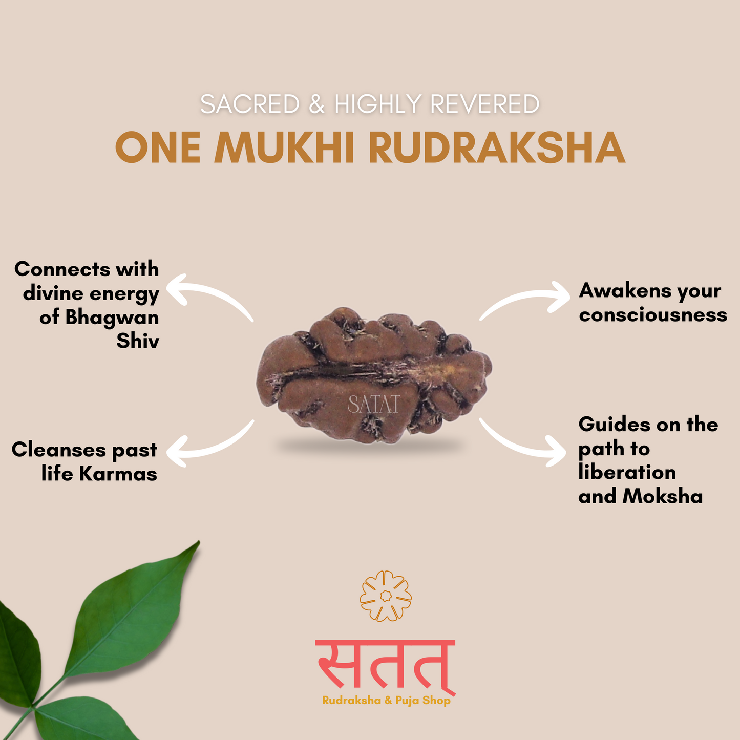 One Mukhi Rudraksha Pendant | Encased in Pure Silver Cap | Indonesian-Origin Bead | Certified by ISO-recognised Laboratory | SATAT