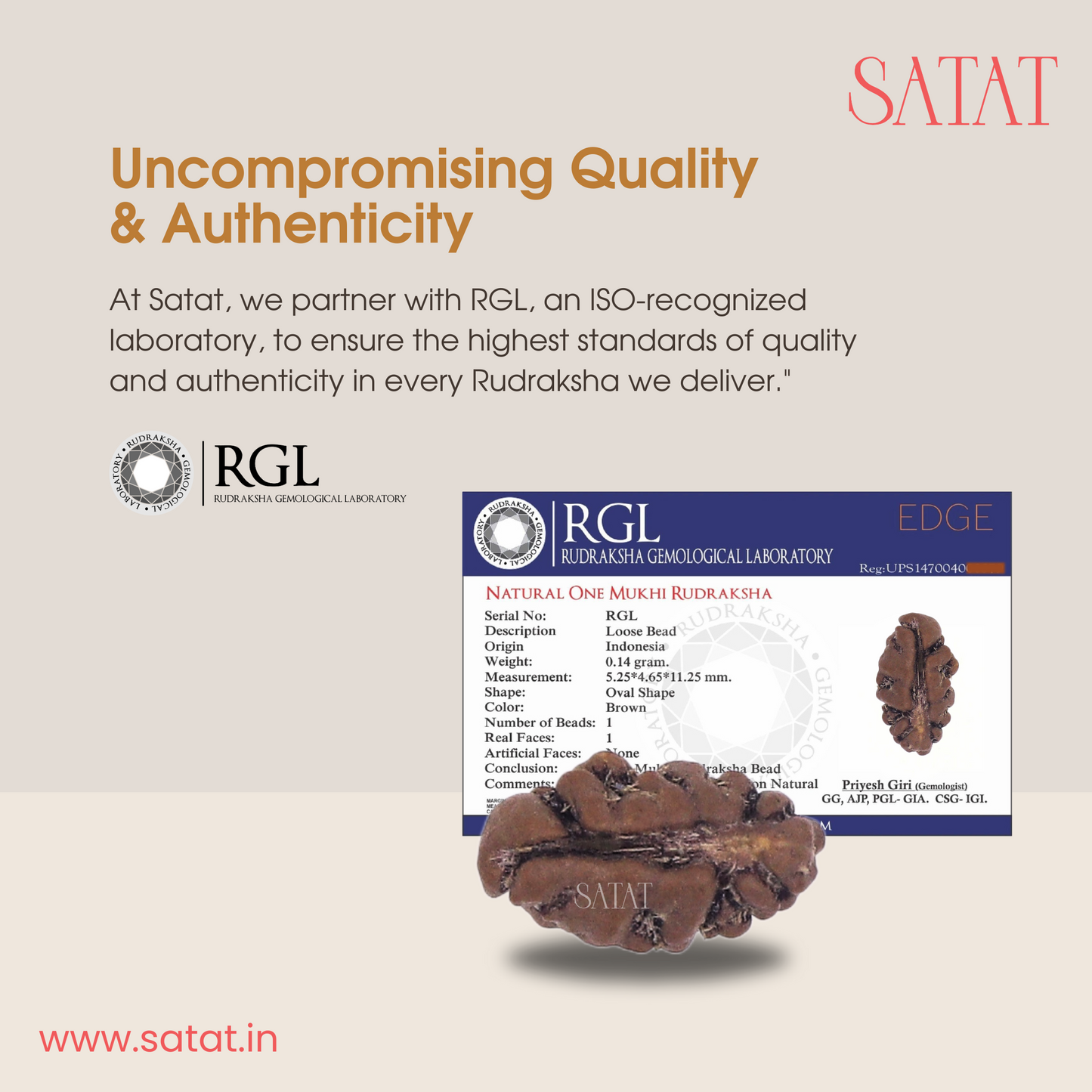 One Mukhi Rudraksha Pendant | Encased in Pure Silver Cap | Indonesian-Origin Bead | Certified by ISO-recognised Laboratory | SATAT