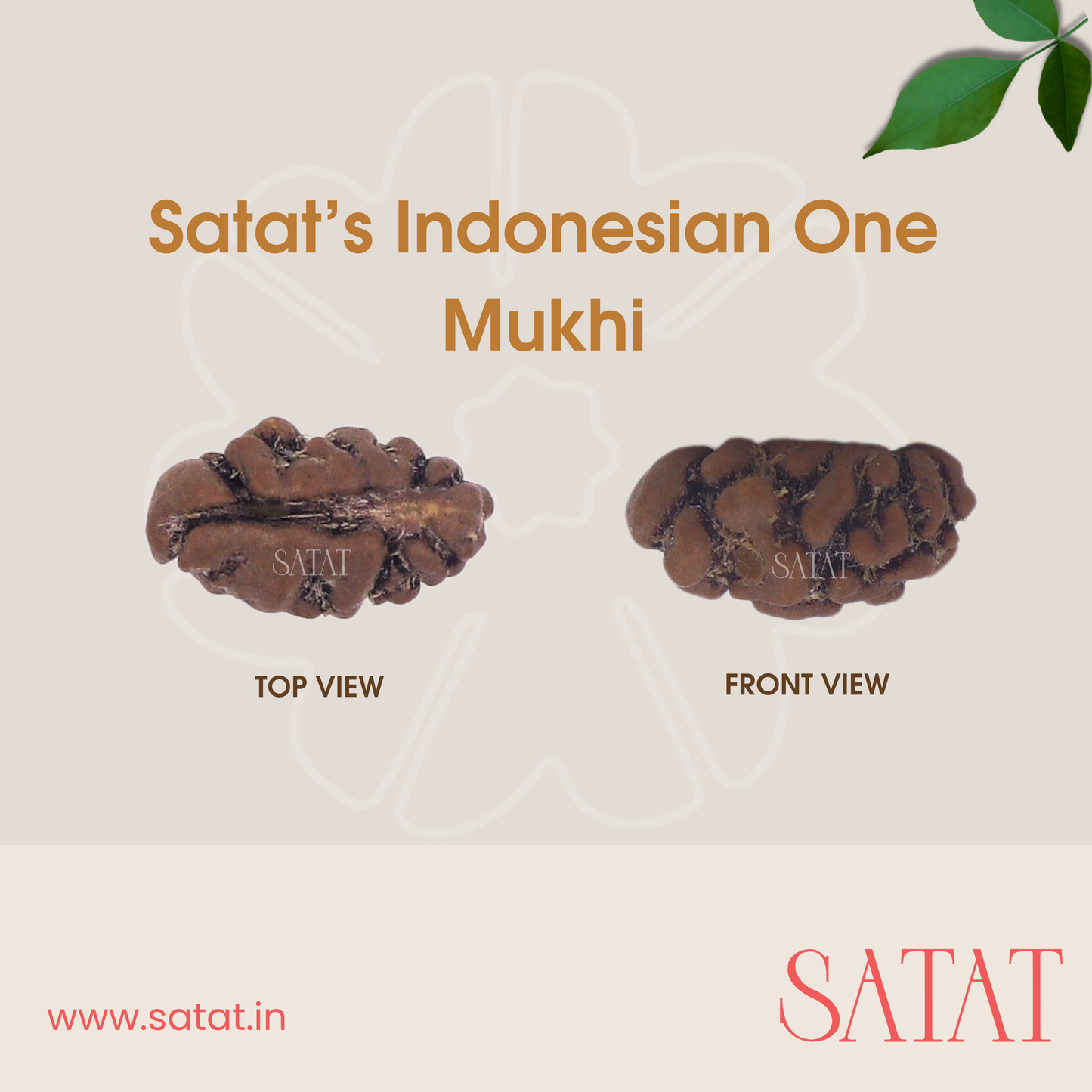 One Mukhi Rudraksha Pendant | Encased in Pure Silver Cap | Indonesian-Origin Bead | Certified by ISO-recognised Laboratory | SATAT