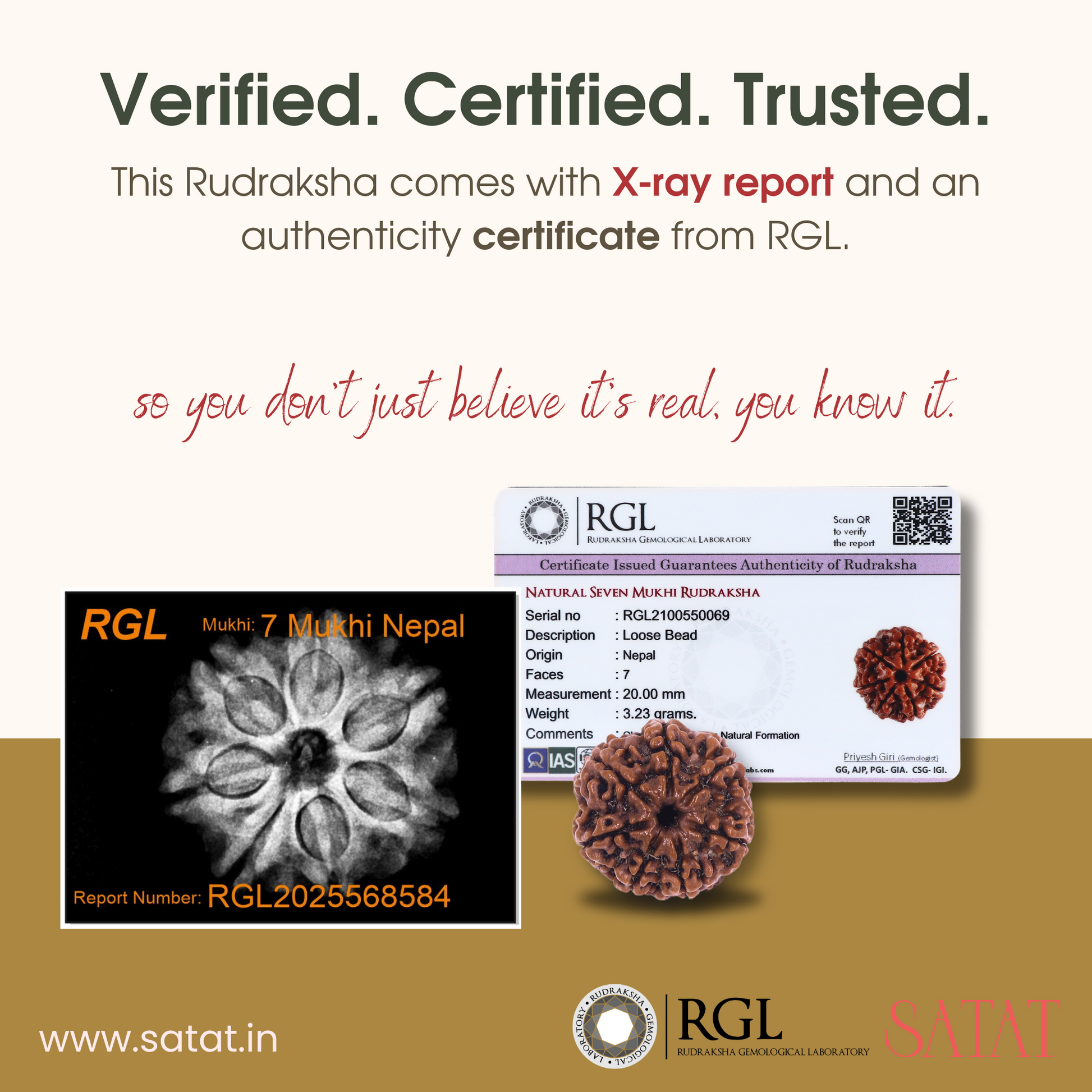 100% Original 7 Mukhi Rudraksha Bead sourced from Nepal 15-22mm size for wealth, prosperity & Success by SATAT (saat Mukhi, Seven Face Rudraksha Bead)