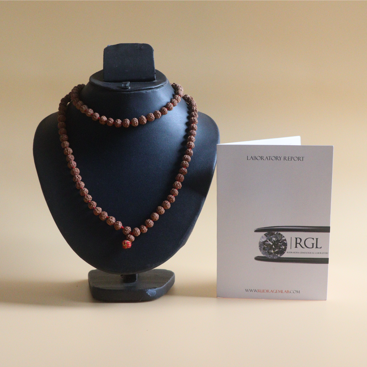 Pathri Rudraksha Chikna Mala 108+1 Beads | 7 mm