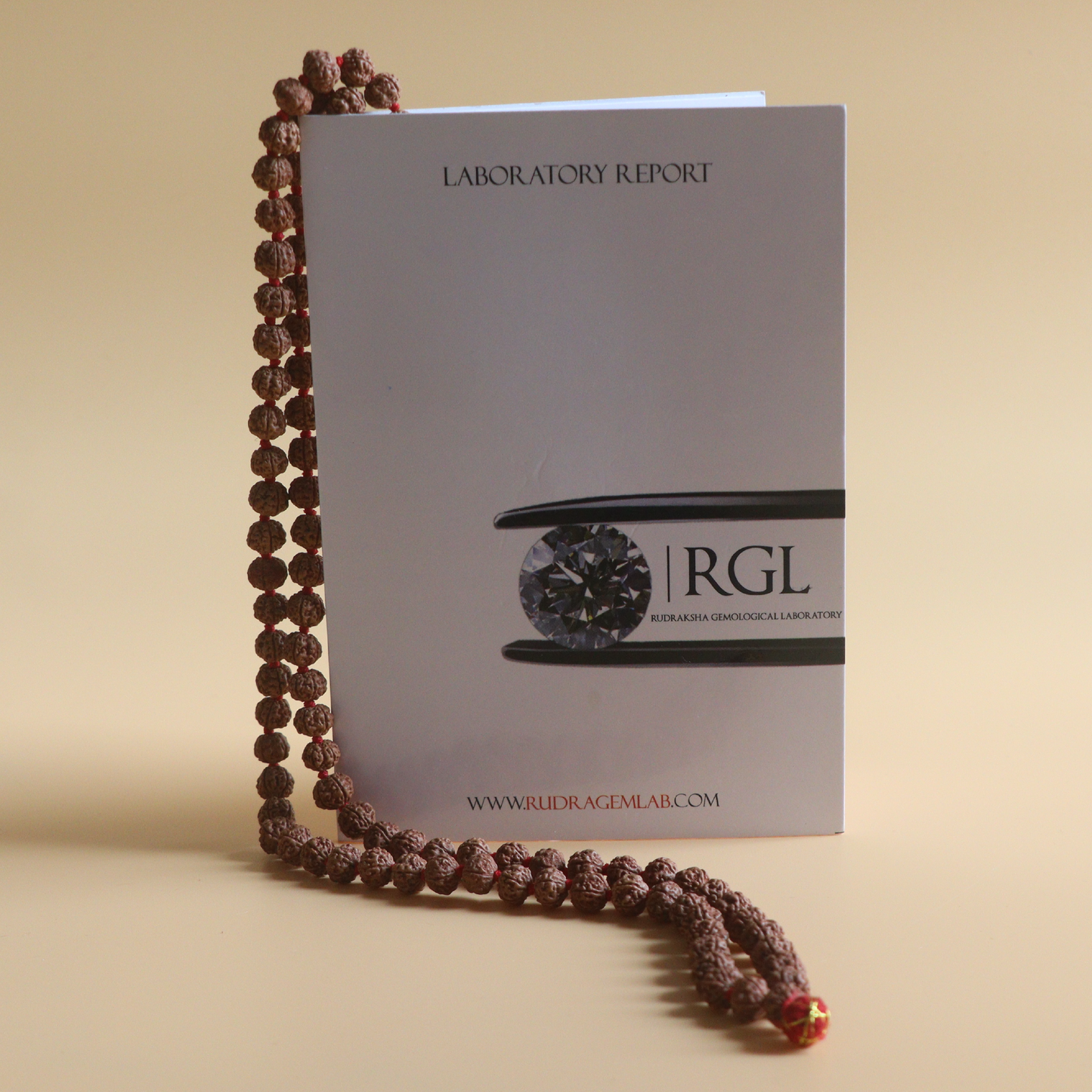 Pathri Rudraksha Chikna Mala 108+1 Beads | 7 mm