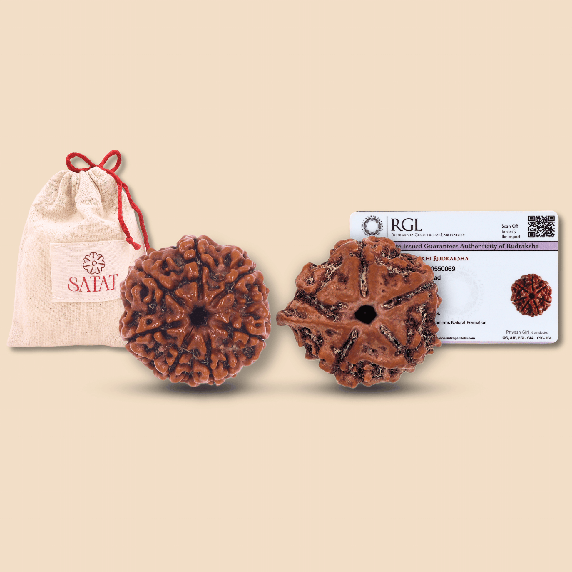 Seven 7 Saat Mukhi Nepali Lakshmi Rudraksha Original Bead Ganesha Rudraksha Rudraksha Combo for Diwali Puja . Lab Certified Beads 100% Original. Satat Rudraksha Puja Shop.