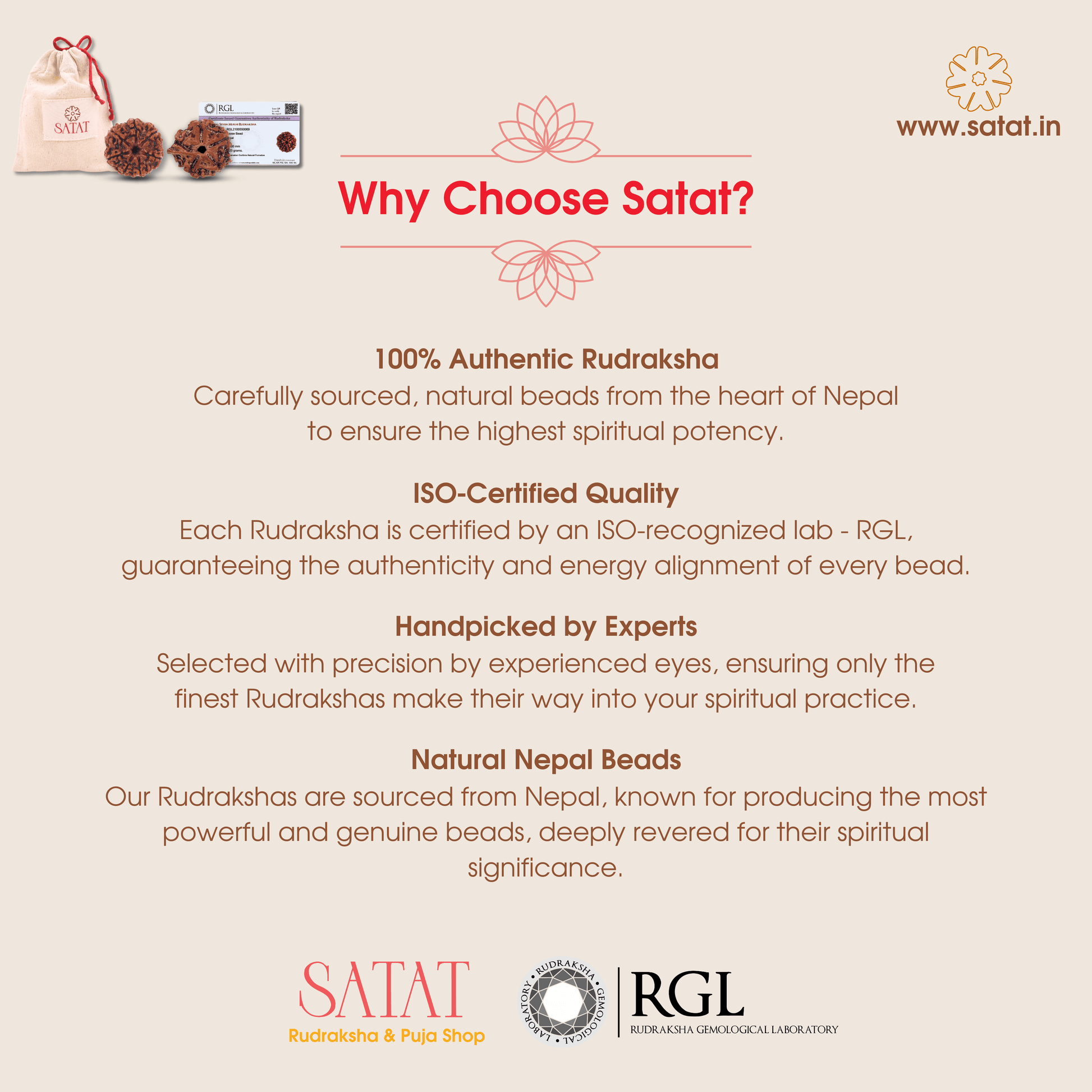 Seven 7 Saat Mukhi Nepali Lakshmi Rudraksha Original Bead Ganesha Rudraksha Rudraksha Combo for Diwali Puja . Lab Certified Beads 100% Original. Satat Rudraksha Puja Shop.