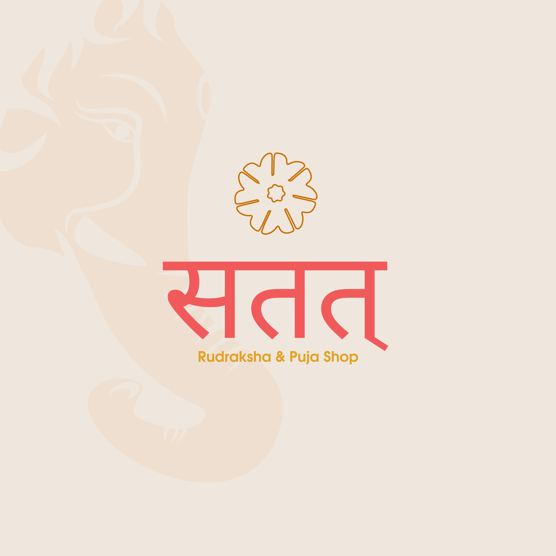 Seven 7 Saat Mukhi Nepali Lakshmi Rudraksha Original Bead Ganesha Rudraksha Rudraksha Combo for Diwali Puja . Lab Certified Beads 100% Original. Satat Rudraksha Puja Shop.