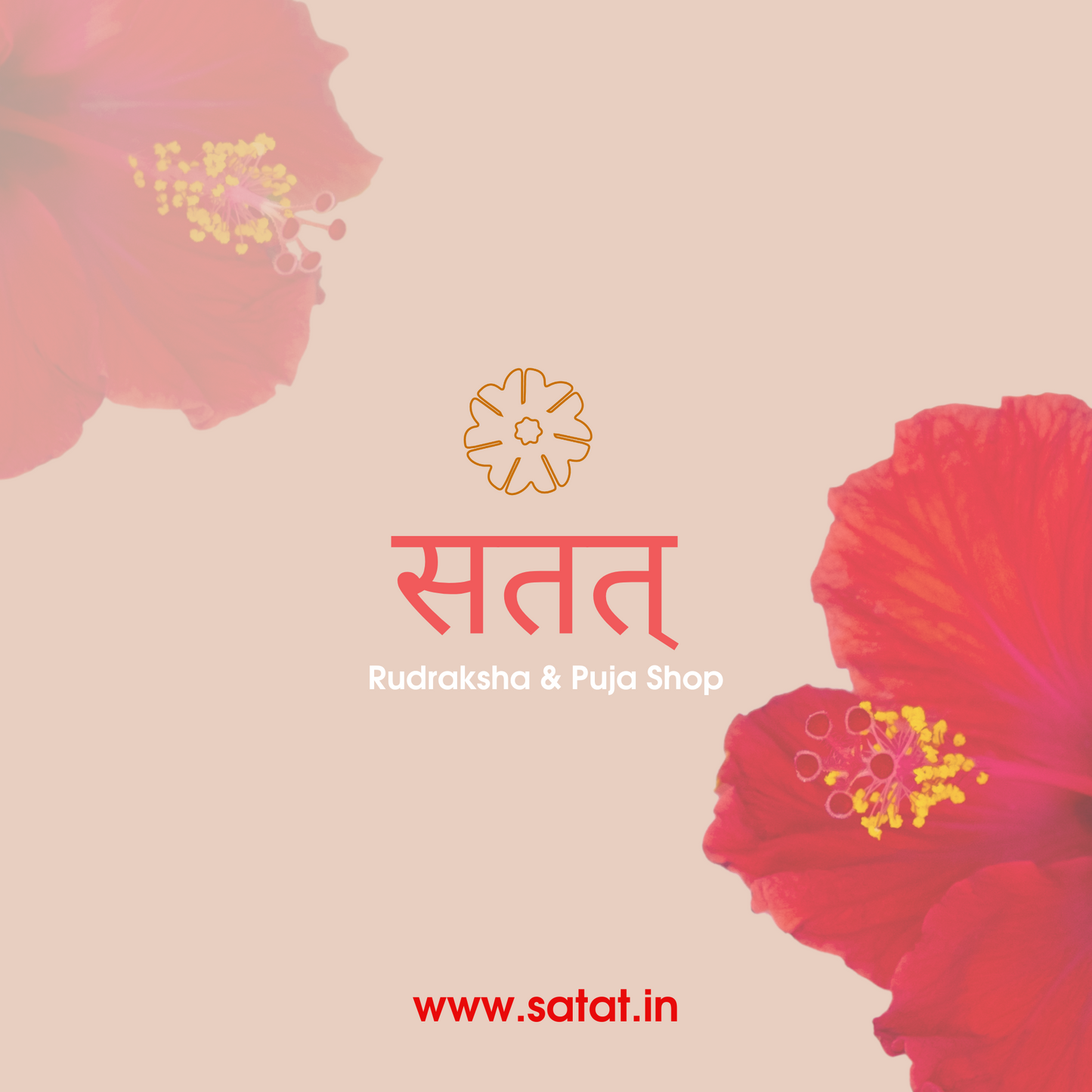 9 Mukhi Original Rudrakhsa Bead | Nepal Origin | Certified by RGL | For Protection & Courage | Blessed by Maa Durga