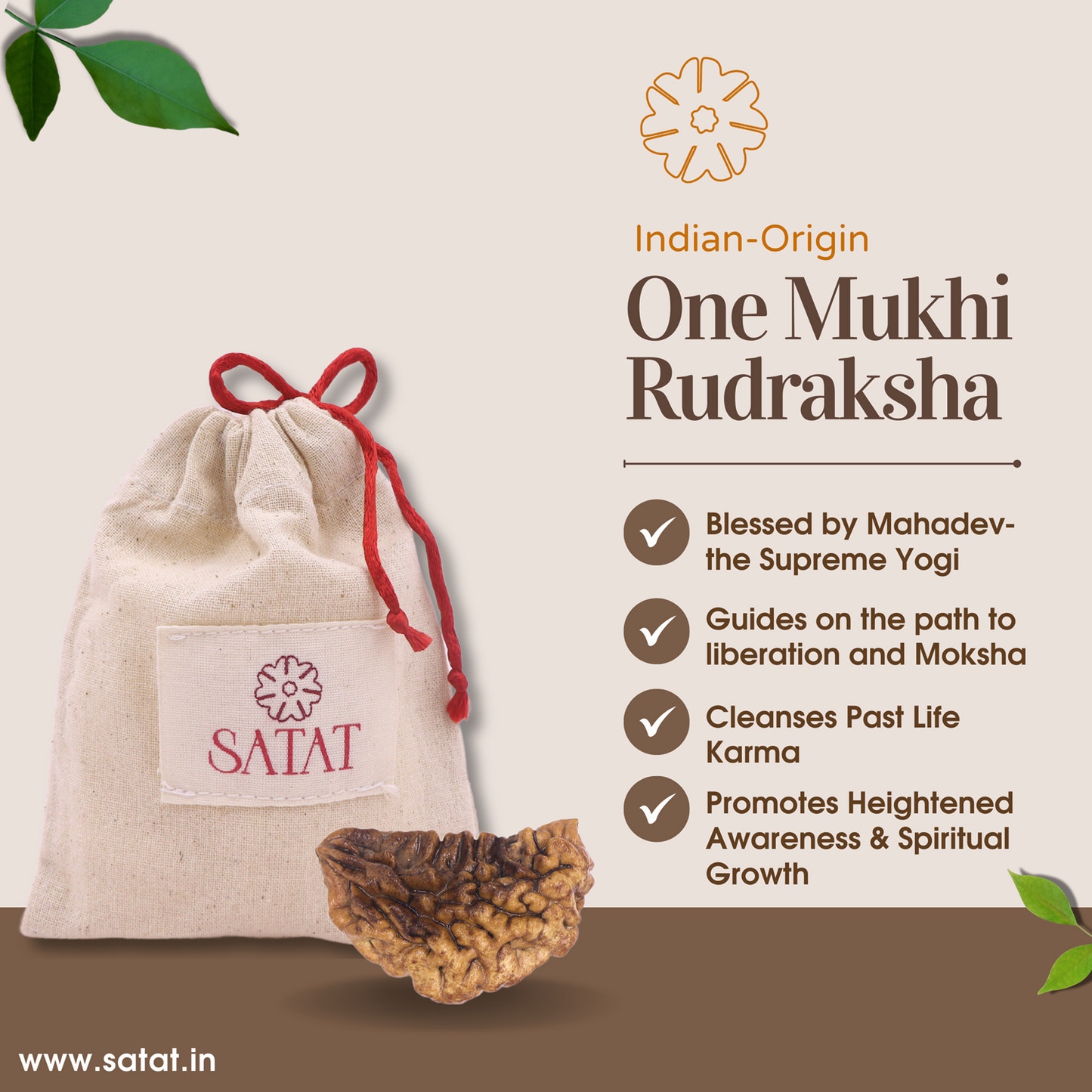 SATAT One Mukhi Rudraksha | Original Hiamalayan Bead | 20-30mm | Certified from ISO-recognised Lab - RGL