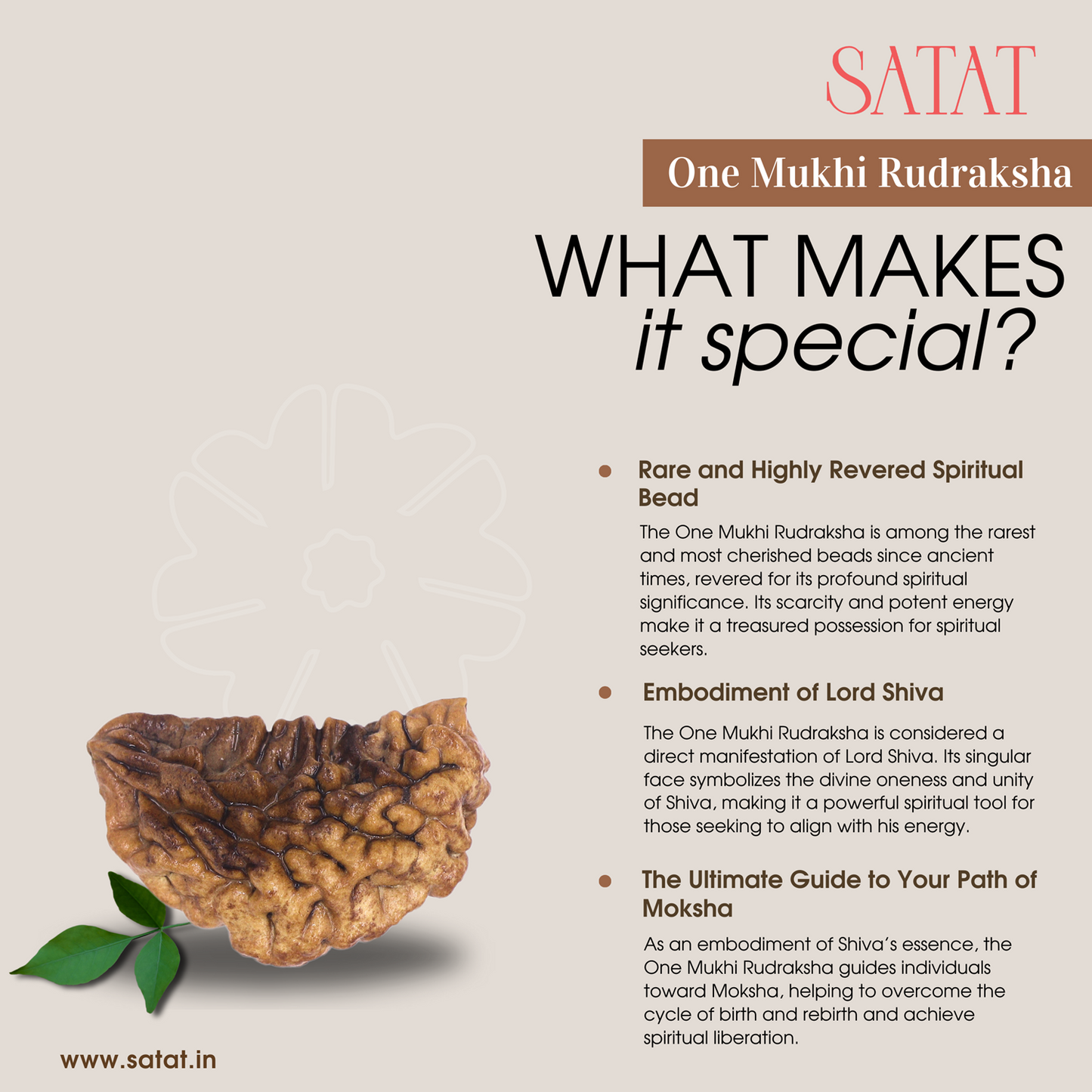 SATAT One Mukhi Rudraksha | Original Hiamalayan Bead | 20-30mm | Certified from ISO-recognised Lab - RGL