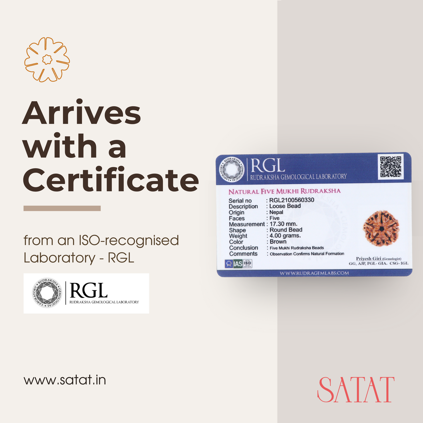 5 Mukhi Rudraksha Pendant | Nepal Origin | Pure Silver Cap | Certified by ISO- Recognised Laboratory