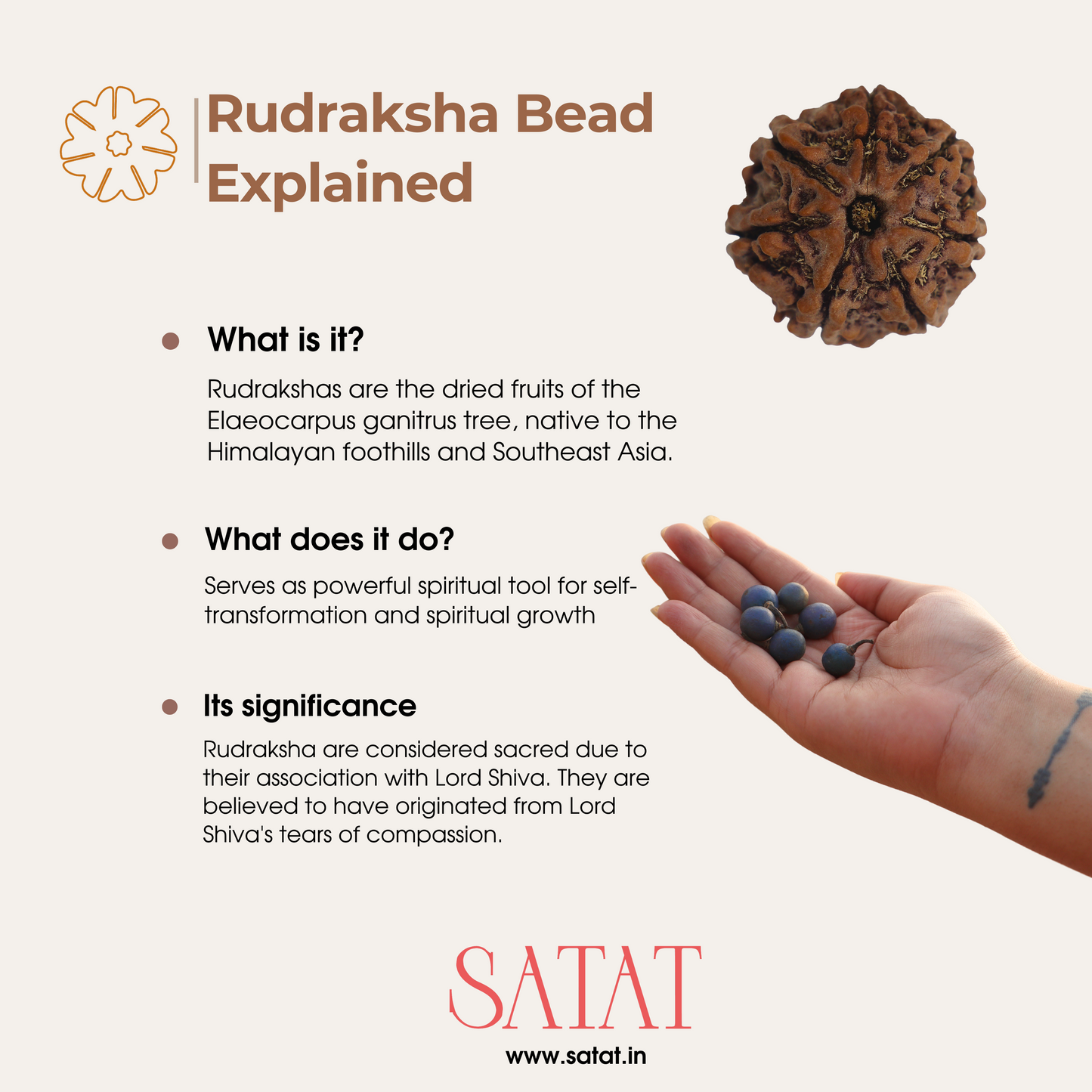 SATAT Siddha Rudraksha Mala | 1-14 Mukhi Beads | Pure Silver Cap | Certified by ISO-recognised Lab