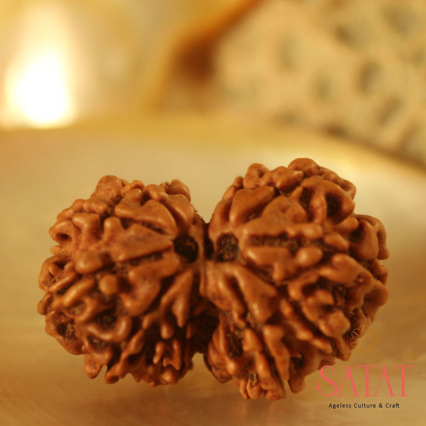 Gauri Shankar Rudraksha