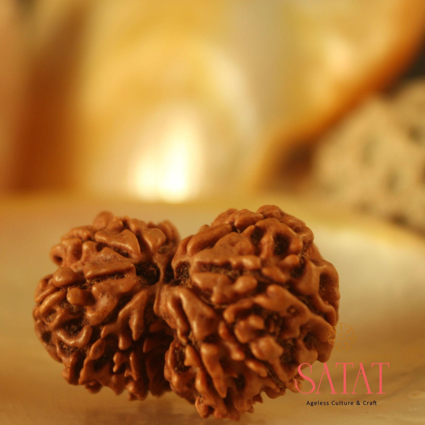 Gauri Shankar Rudraksha