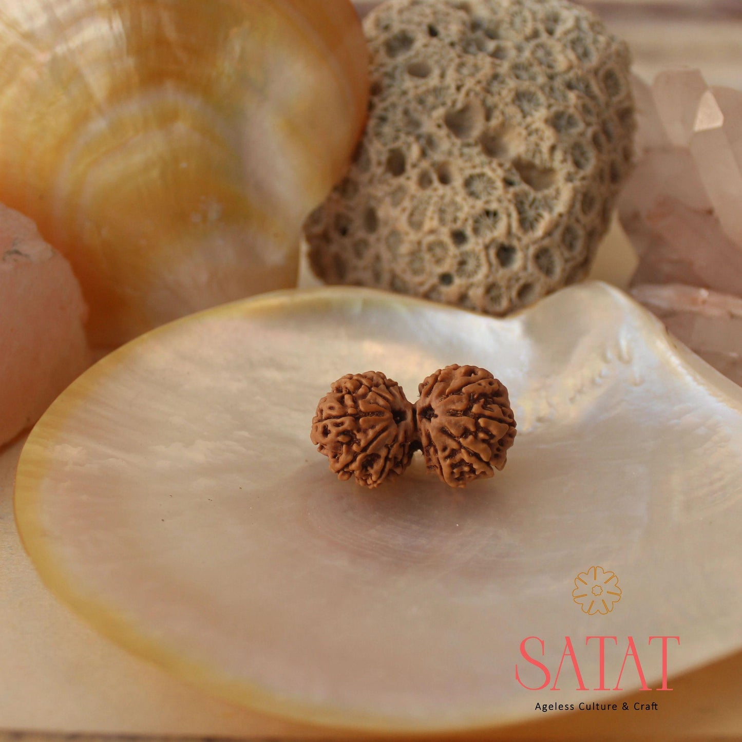 Gauri Shankar Rudraksha