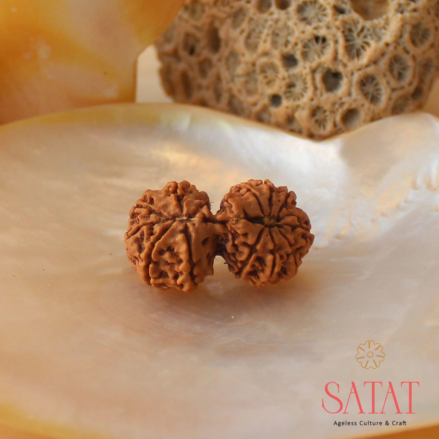 Gauri Shankar Rudraksha