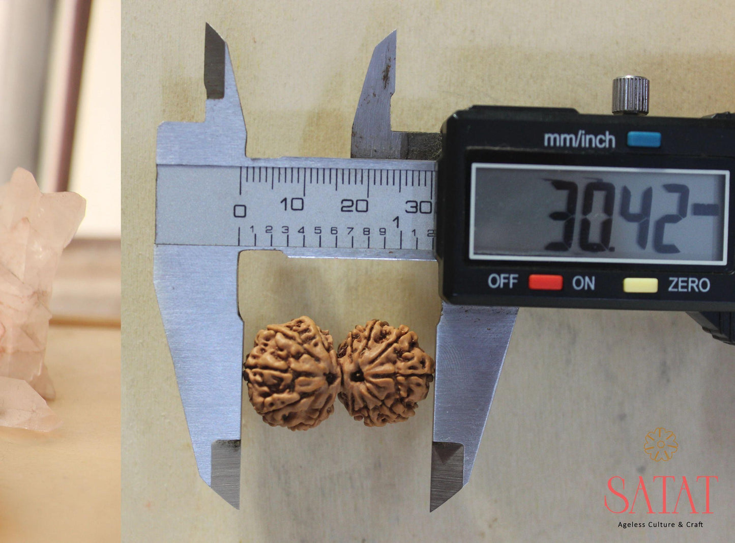 Gauri Shankar Rudraksha