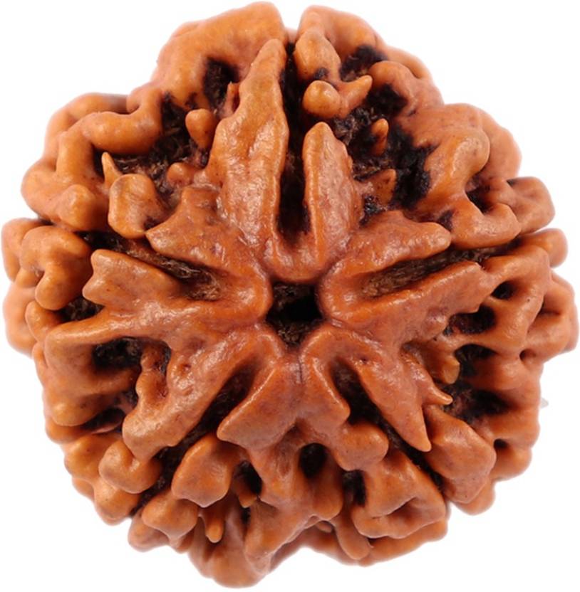 Rudraksha Mala with 5 Mukhi Nepal Rudraksha Chandi Locket