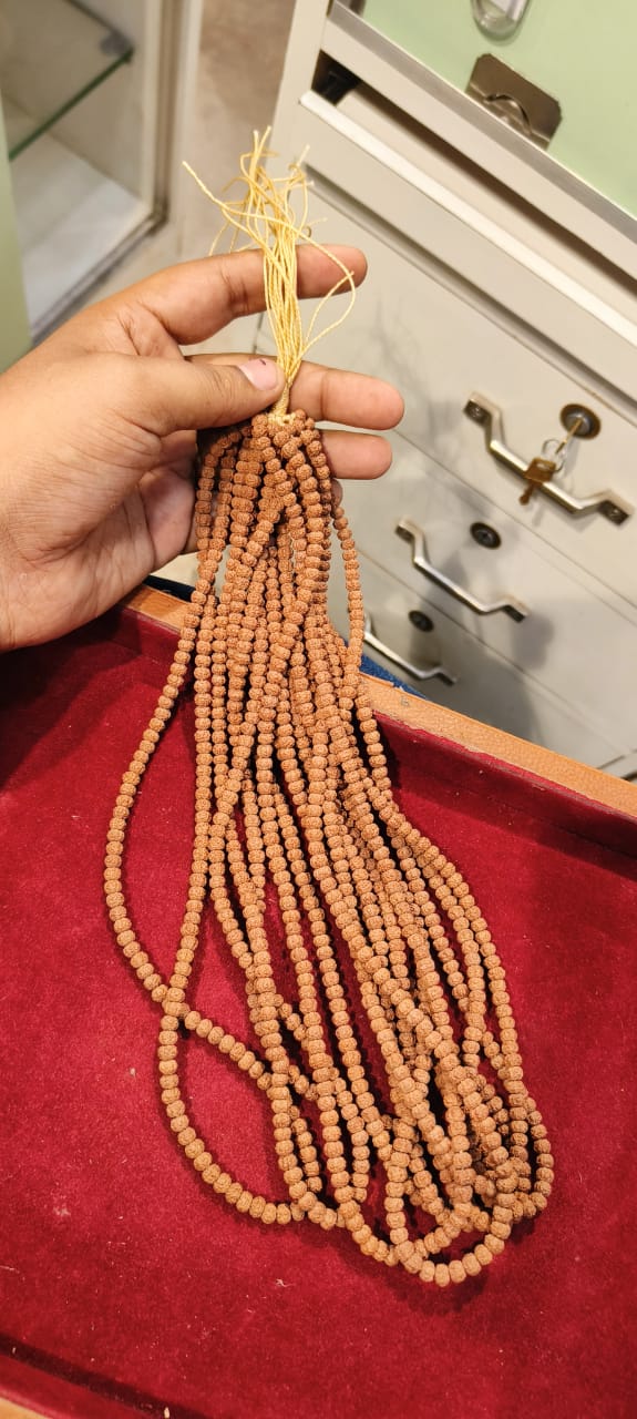 Pathri Rudraksha Chikna Mala 108+1 Beads | 7 mm