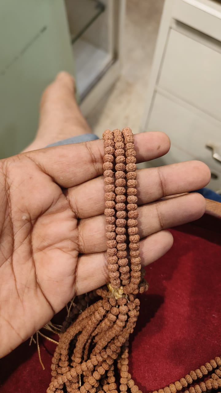 Pathri Rudraksha Chikna Mala 108+1 Beads | 7 mm
