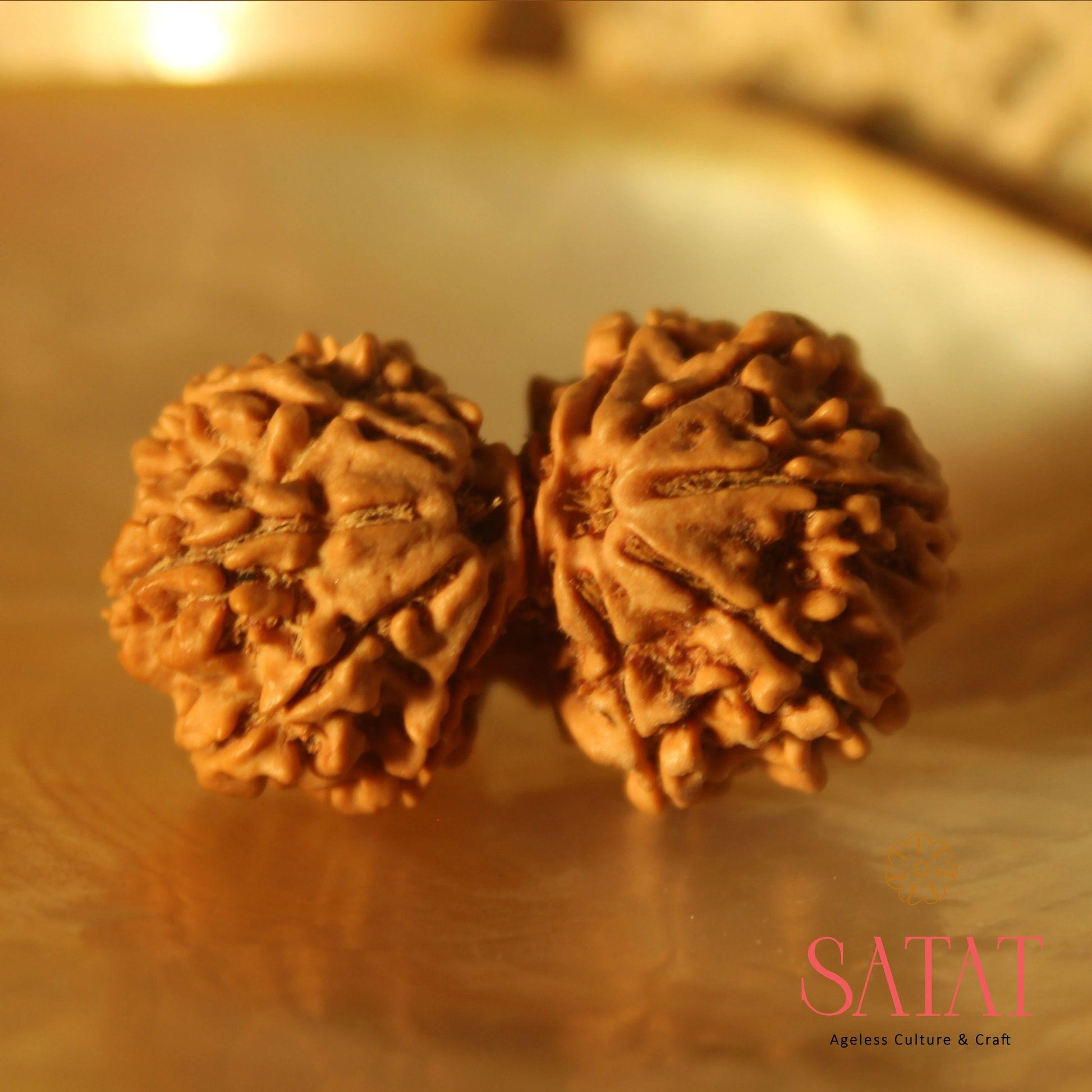 Gauri Shankar Rudraksha Bead