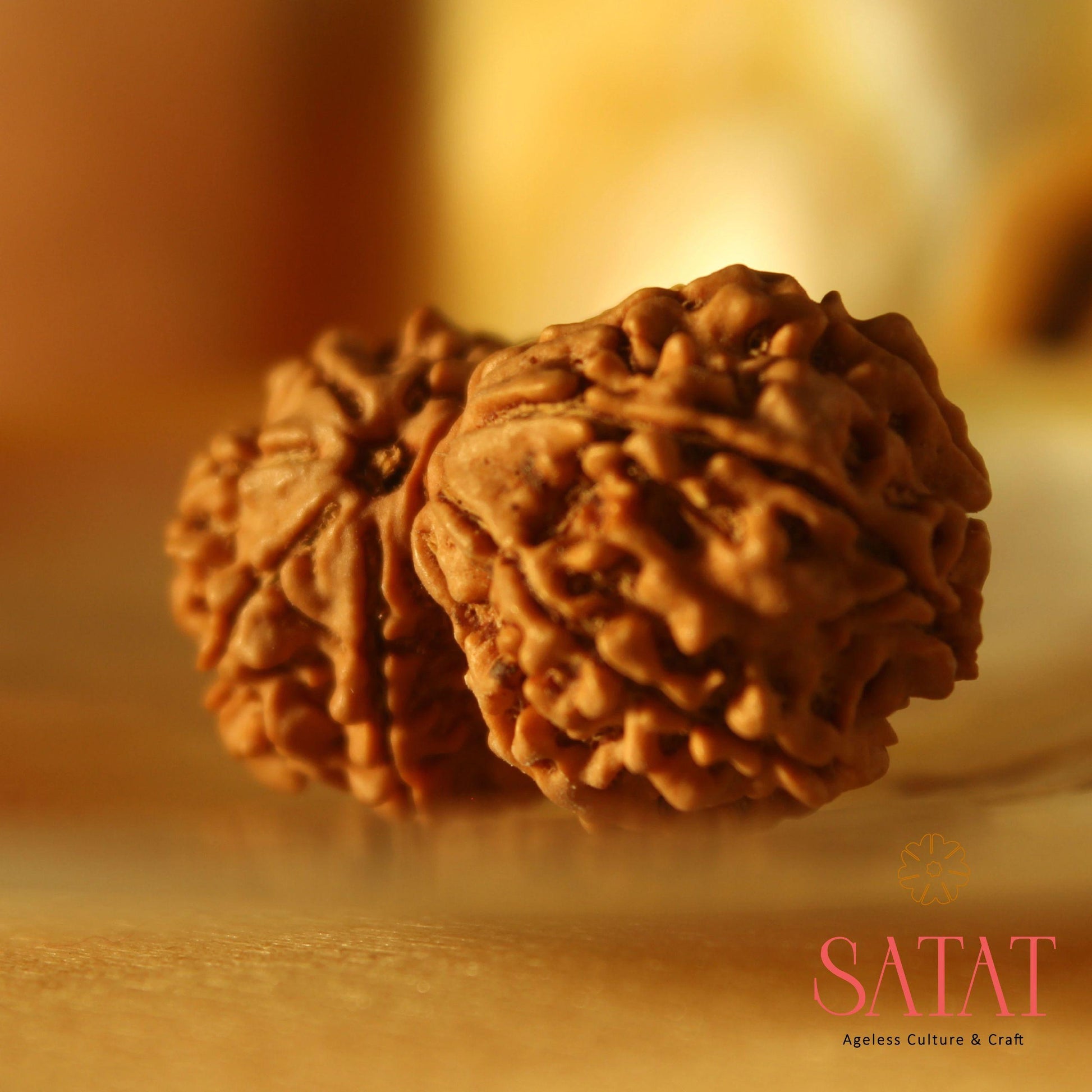 Gauri Shankar Rudraksha With Certificate