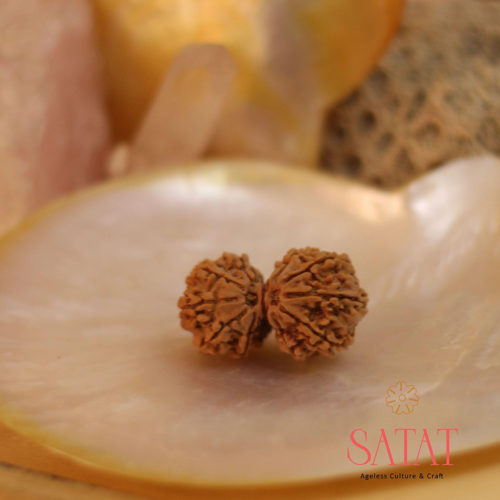 Gauri Shankar Rudraksha Bead