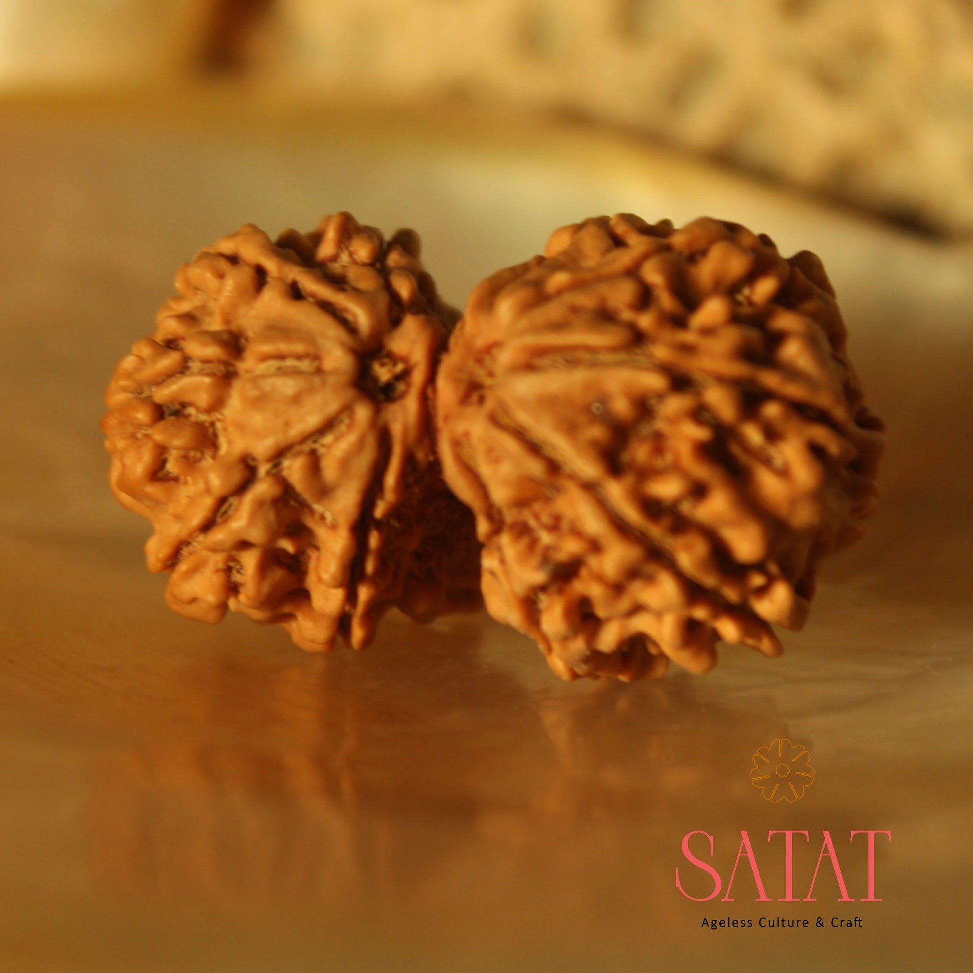 Gauri Shankar Rudraksha Bead