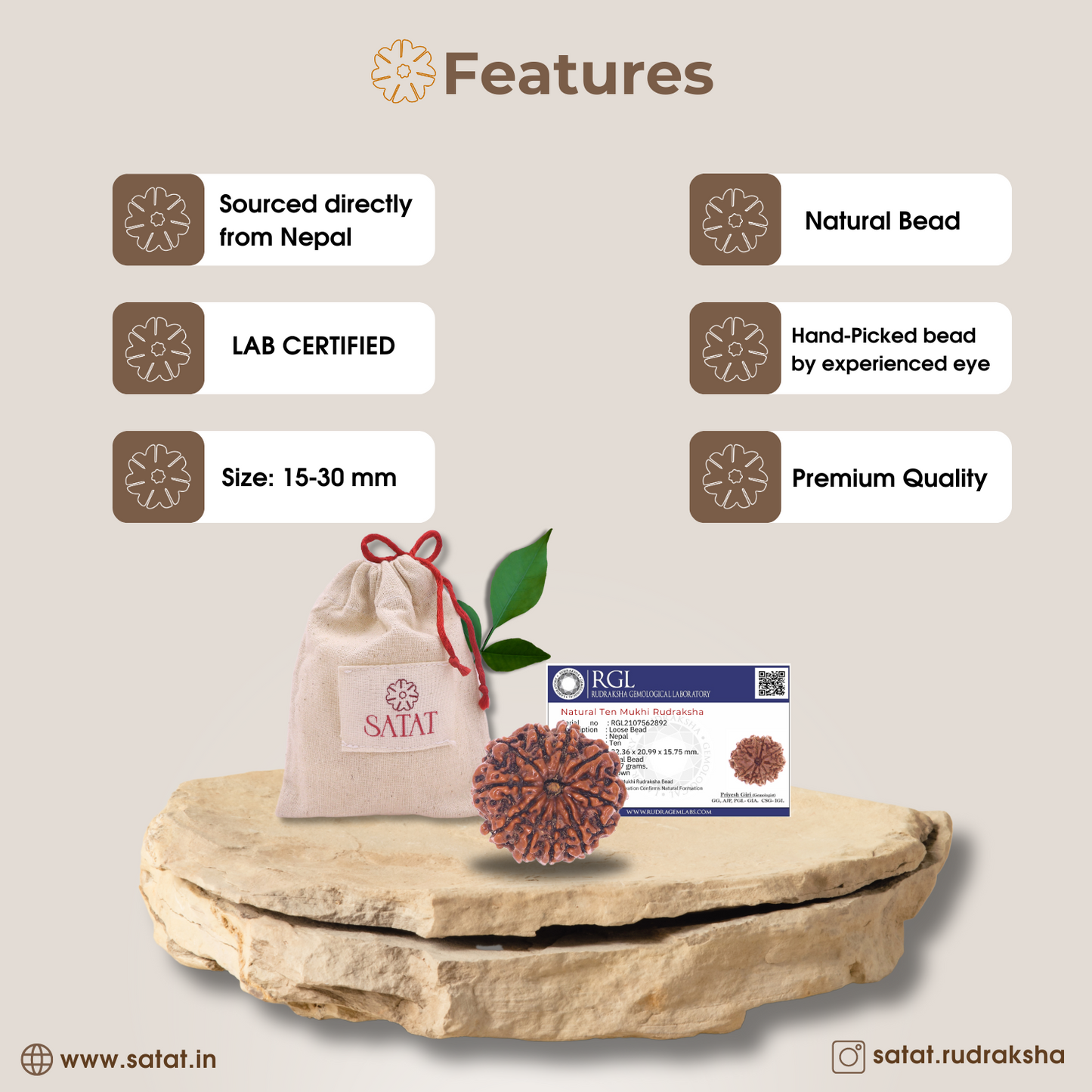 10 Mukhi Rudraksha Bead | Original Nepalese Bead | Certified from an ISO-recognised lab- RGL | For Vastu Dosha Nivaran