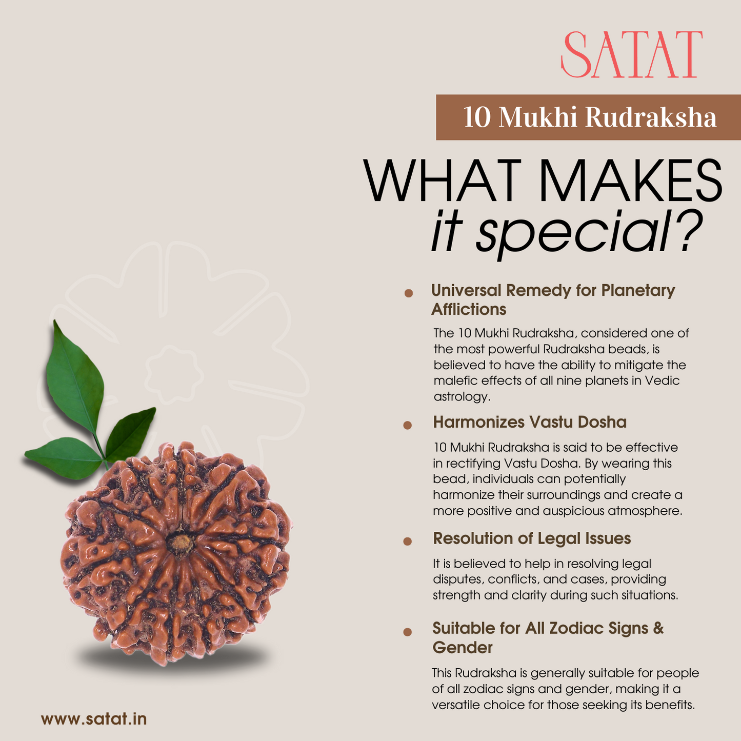 10 Mukhi Rudraksha Bead | Original Nepalese Bead | Certified from an ISO-recognised lab- RGL | For Vastu Dosha Nivaran