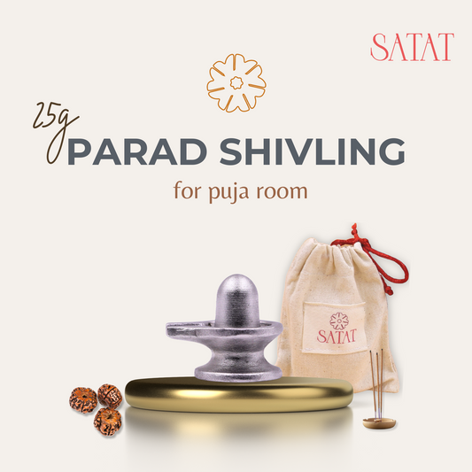 Savan Special – 100% Pure Parad Shivling (25g) | Sacred Mercury Shivling for Abhishekam & Daily Puja