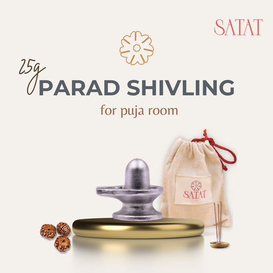 100% Pure Parad Shivling | 25g