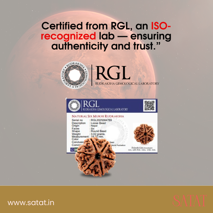 Authentic 6 Mukhi Nepal Rudraksha | Lab & X-Ray Certified | Nepal Origin