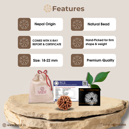 Authentic 6 Mukhi Nepal Rudraksha | Lab & X-Ray Certified | Nepal Origin