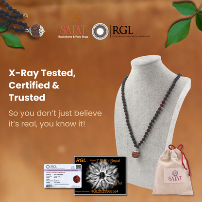 SATAT 7 Mukhi Rudraksha Pendant (Nepal) with 108 bead 5 Mukhi (Indonesian) Black Mala Set | Pure Silver Cap | LAB Certified