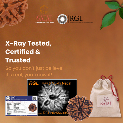 8 Mukhi Rudraksha| Nepal Origin | 18-23mm | Certified by ISO-recognized Lab - RGL
