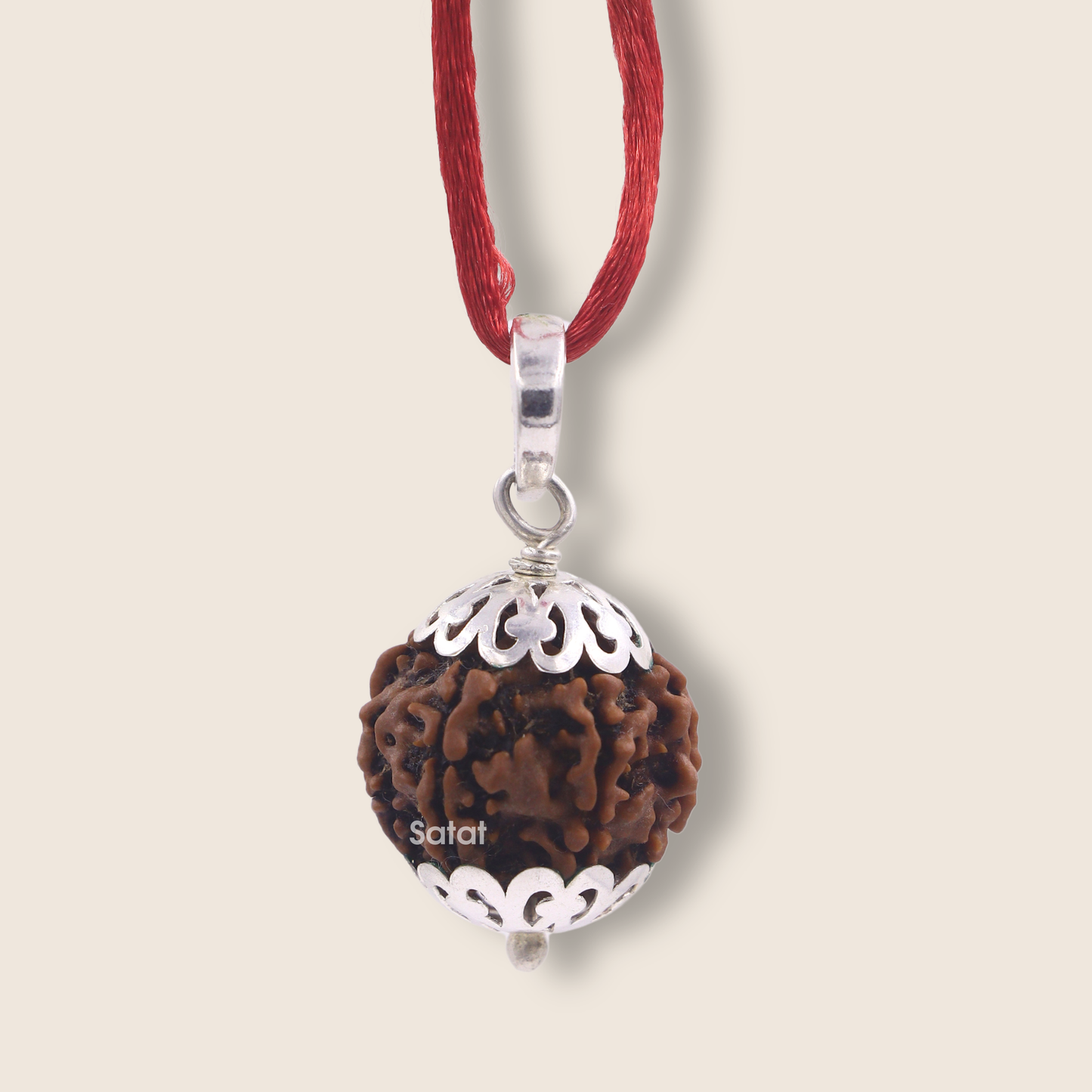 Original 6 Mukhi Rudraksha Locket | Encased in Pure Silver Cap | Nepal Origin Bead | Certified from RGL | For Mangal Dosha