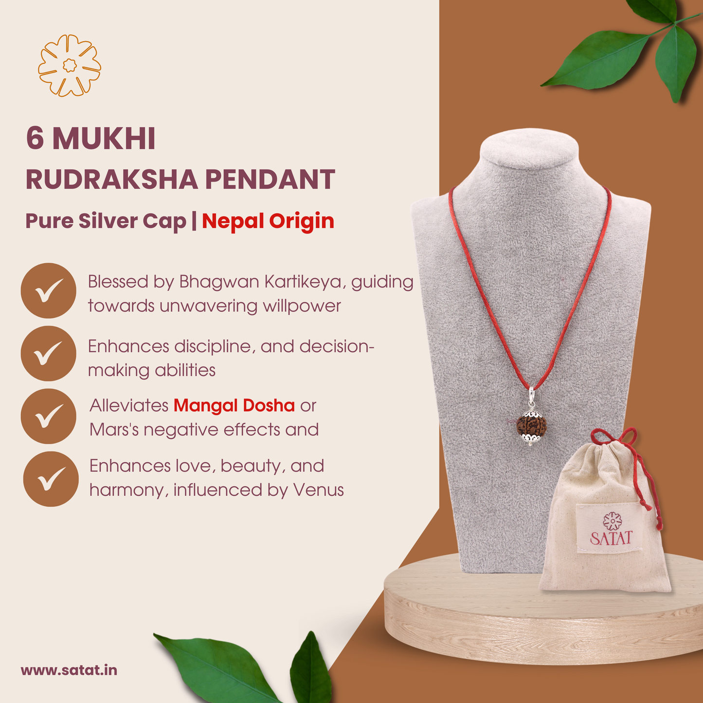 Original 6 Mukhi Rudraksha Locket | Encased in Pure Silver Cap | Nepal Origin Bead | Certified from RGL | For Mangal Dosha