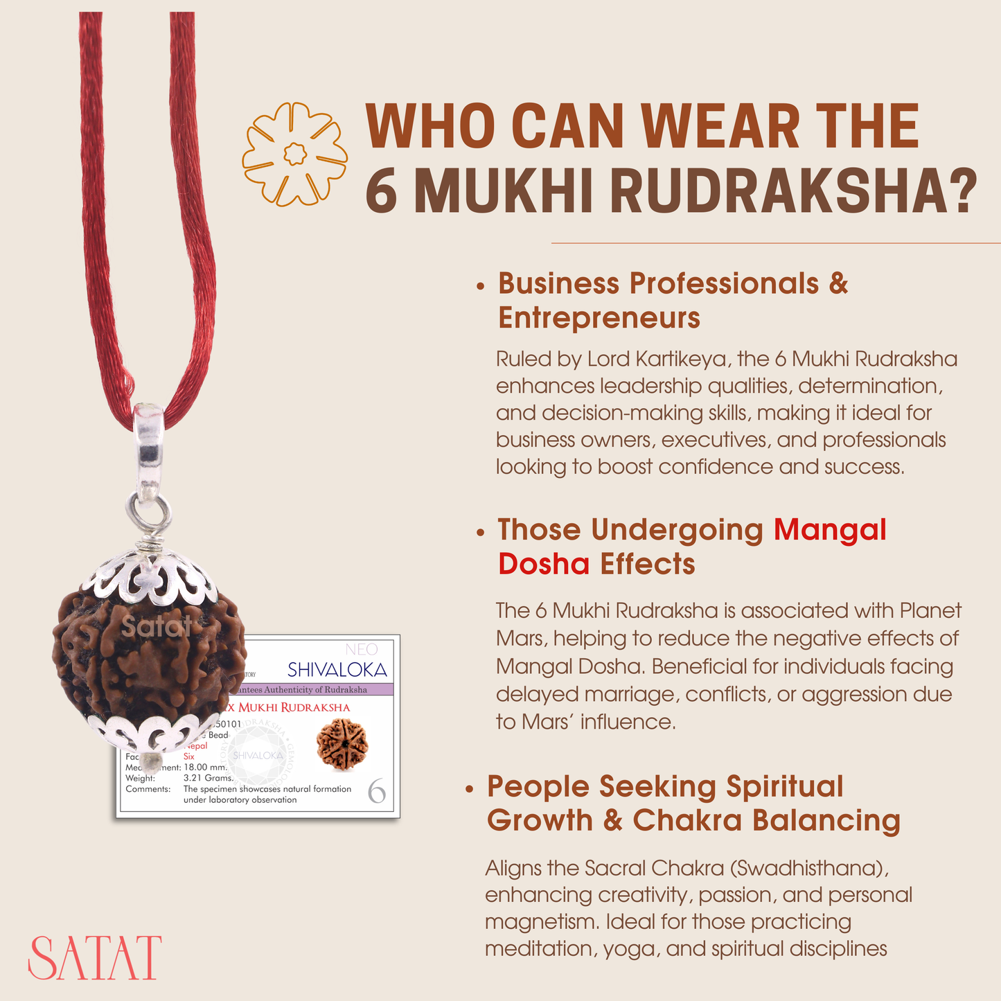 Original 6 Mukhi Rudraksha Locket | Encased in Pure Silver Cap | Nepal Origin Bead | Certified from RGL | For Mangal Dosha