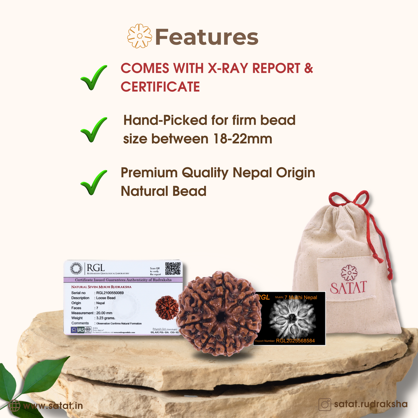 Original 7 Saat Mukhi Rudraksha Bead with X-Ray Report | nepalese Origin | 18-22 mm | RGL Certified